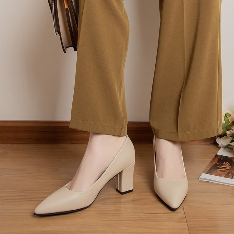 Women's Pointed Head Thick Heel Fashion Shoes