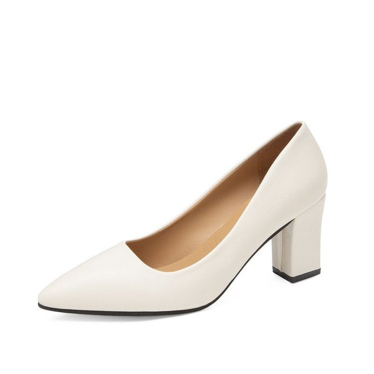 Women's Pointed Head Thick Heel Fashion Shoes