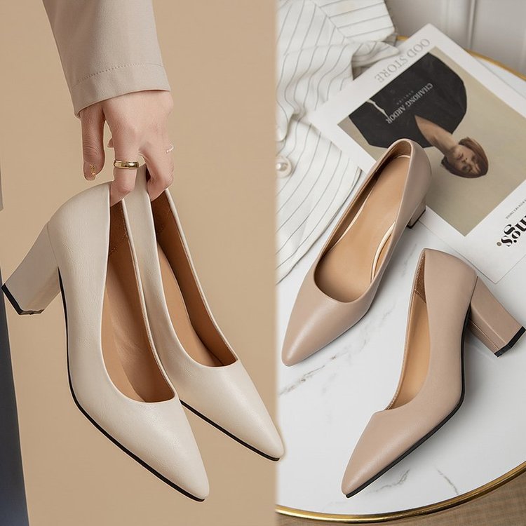 Women's Pointed Head Thick Heel Fashion Shoes