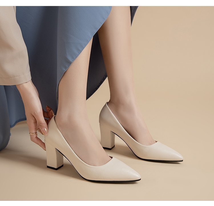 Women's Pointed Head Thick Heel Fashion Shoes