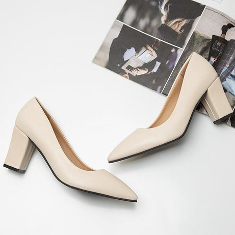 Women's Pointed Head Thick Heel Fashion Shoes