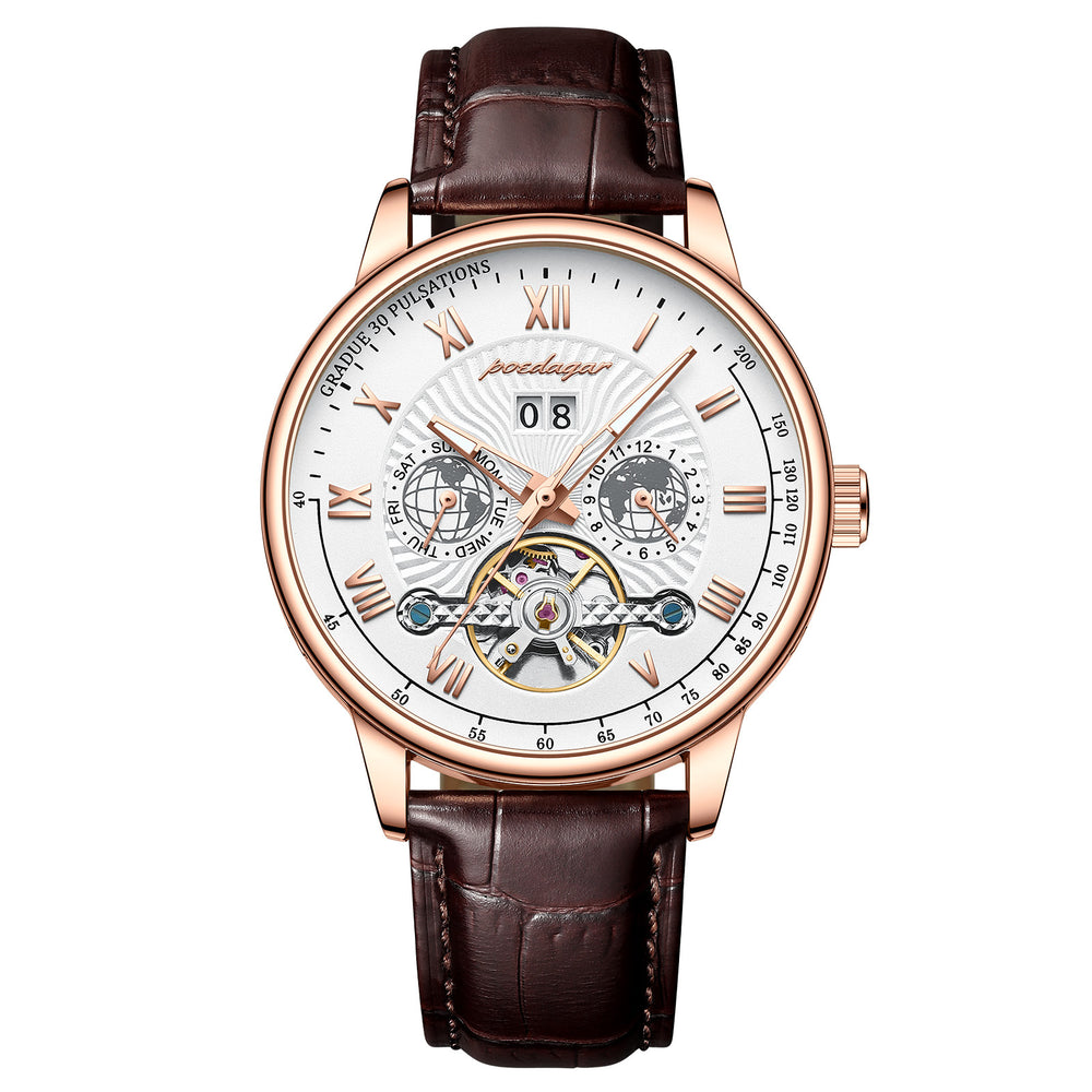 Men's Luxury Automatic Mechanical Watch