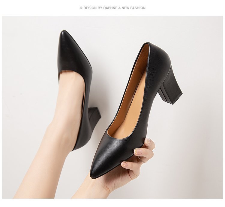 Women's Pointed Head Thick Heel Fashion Shoes