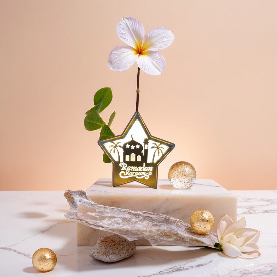 Arabic Star Warm Lights with LED Lamp (807)